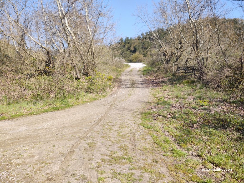 (17550)  - Karasukabaklar Köyü Yolu — foto