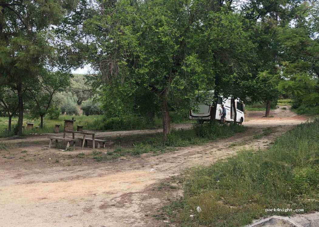 (14550) Montilla - 725 Diseminado Diseminados — foto