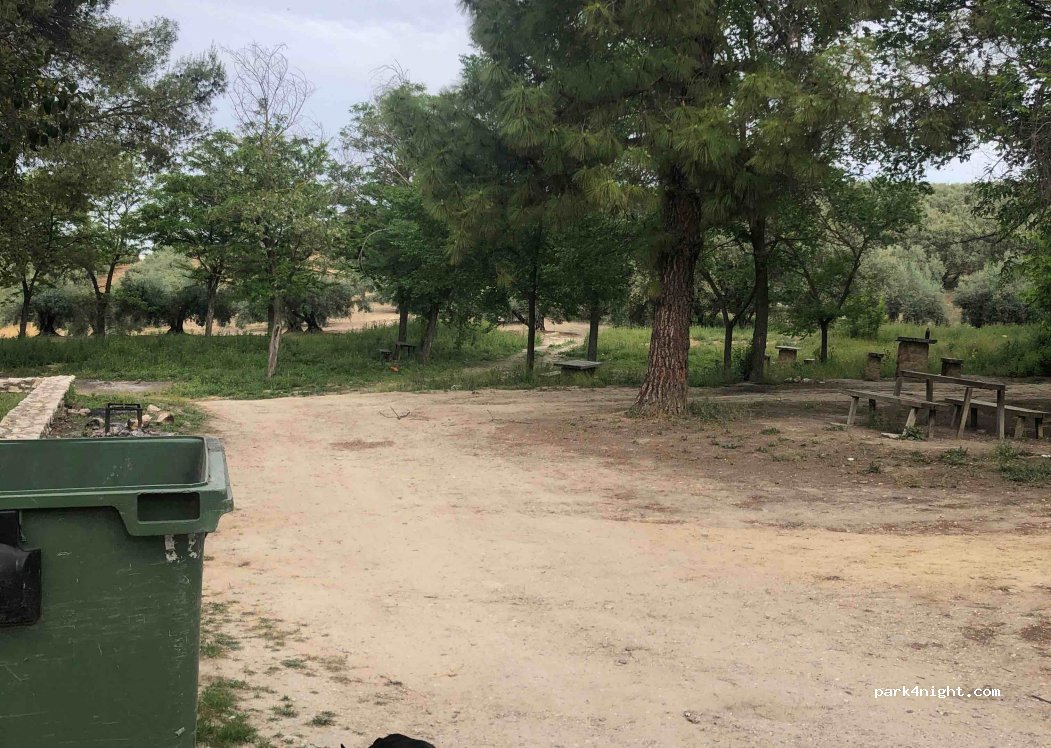 (14550) Montilla - 725 Diseminado Diseminados — foto 2