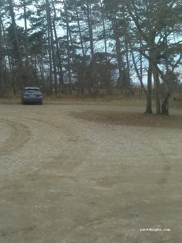 (4560) Vig - 45 Korevlevej — foto 2