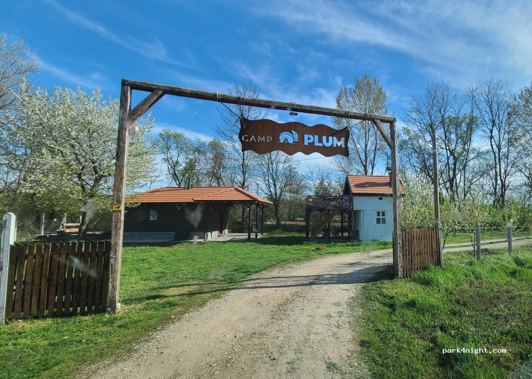 Camp Plum — foto