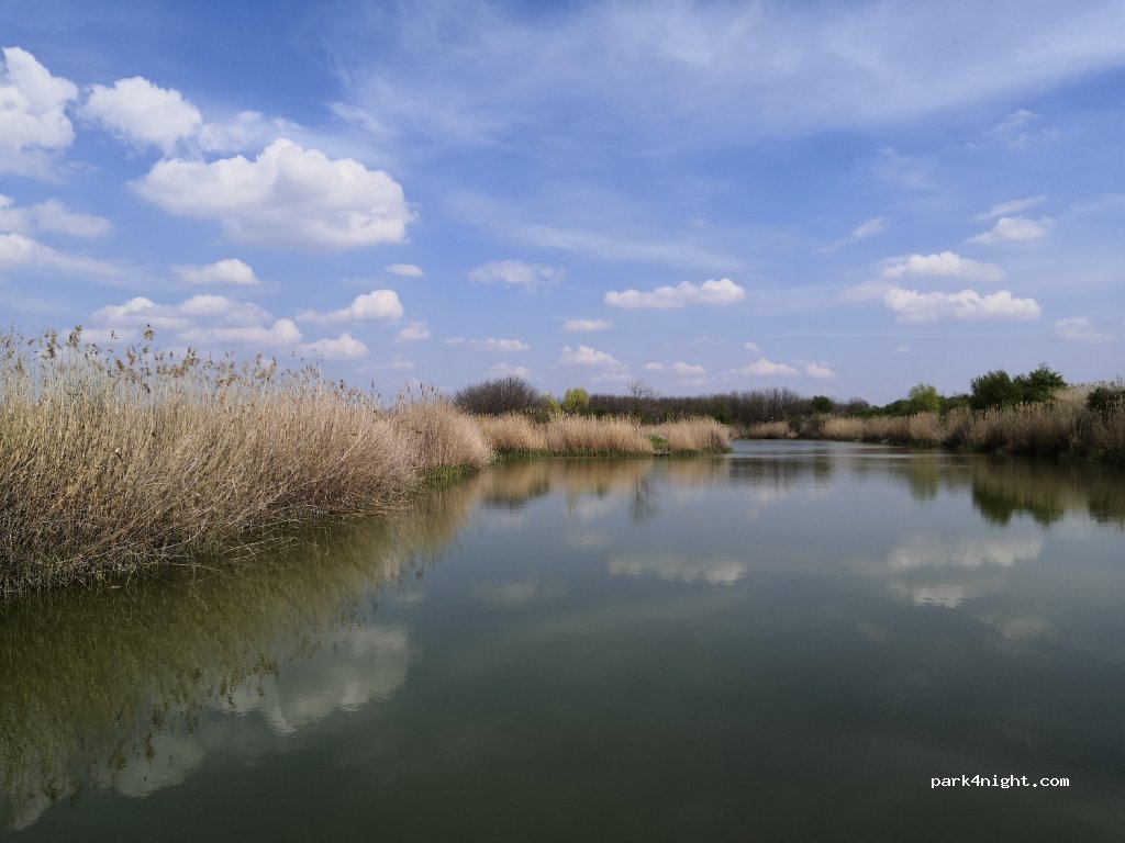 (305400) Jimbolia - Strada Arena Ceramică — foto 4