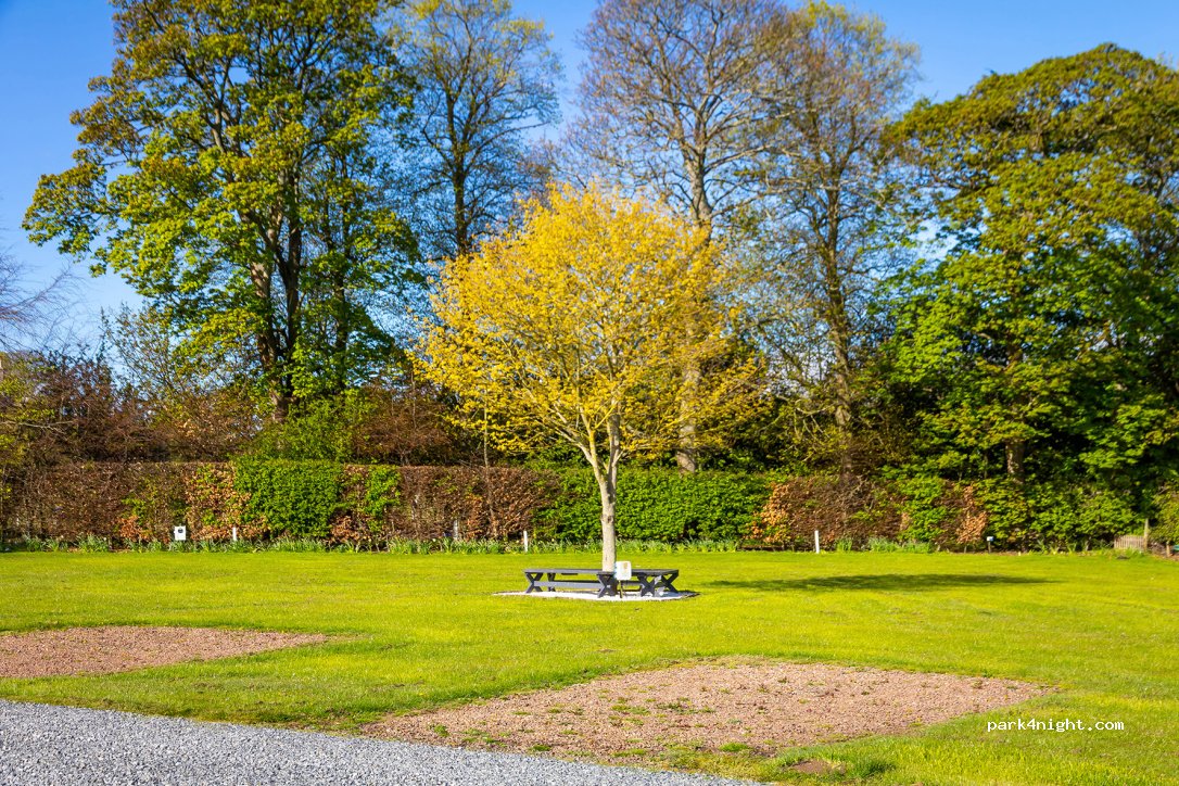 Drummohr Camping and Glamping Site — foto 2