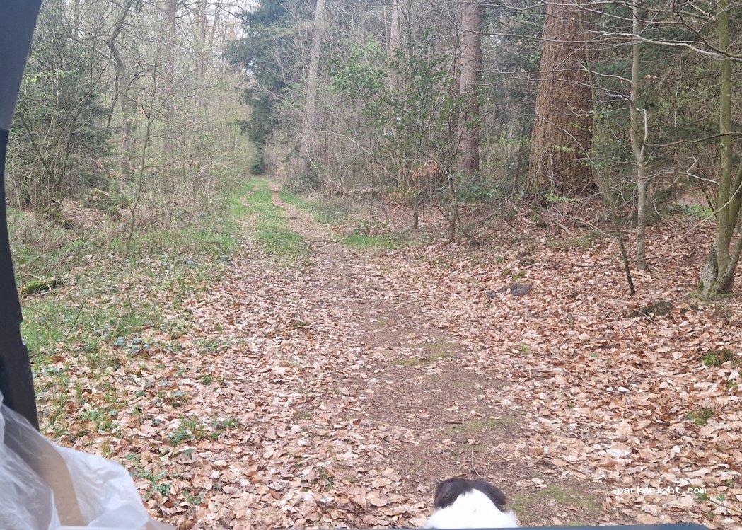 (26215) Wiefelstede - — foto 4