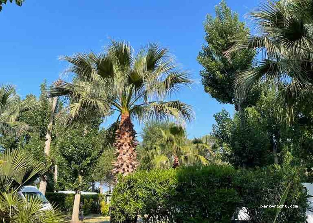 Camping la Mer — foto 4