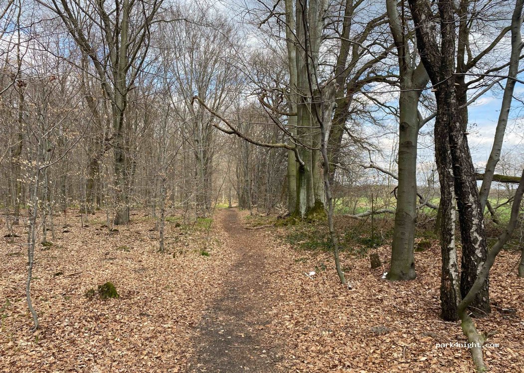 (44-153)  - Droga Wojewódzka 408 — foto 3