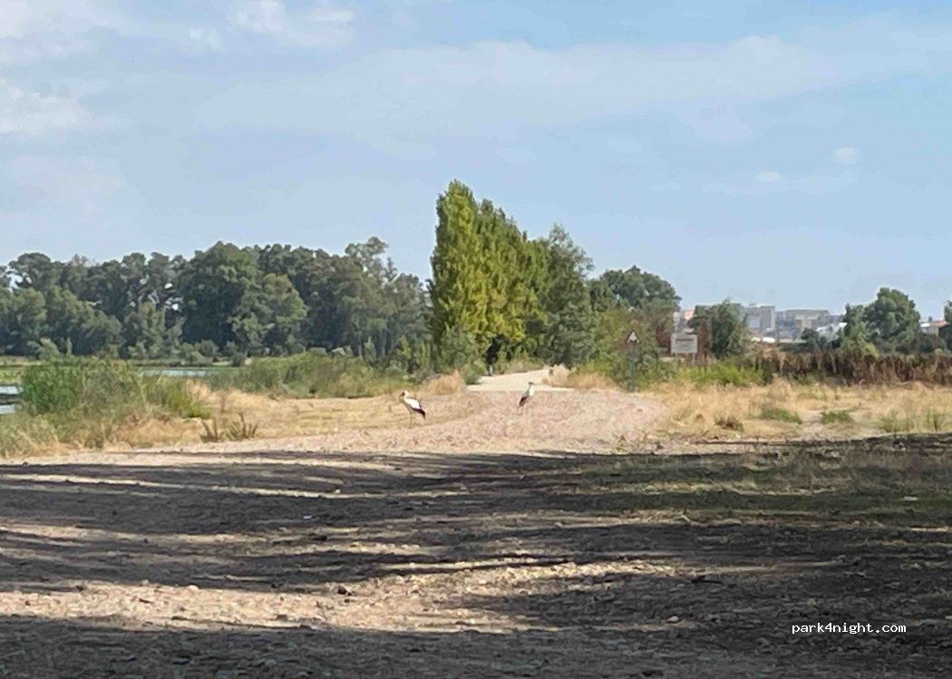 (06007) Badajoz - Unnamed Road — foto