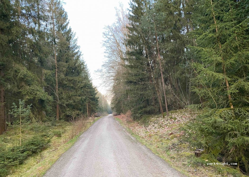 (95666) Mitterteich - — foto