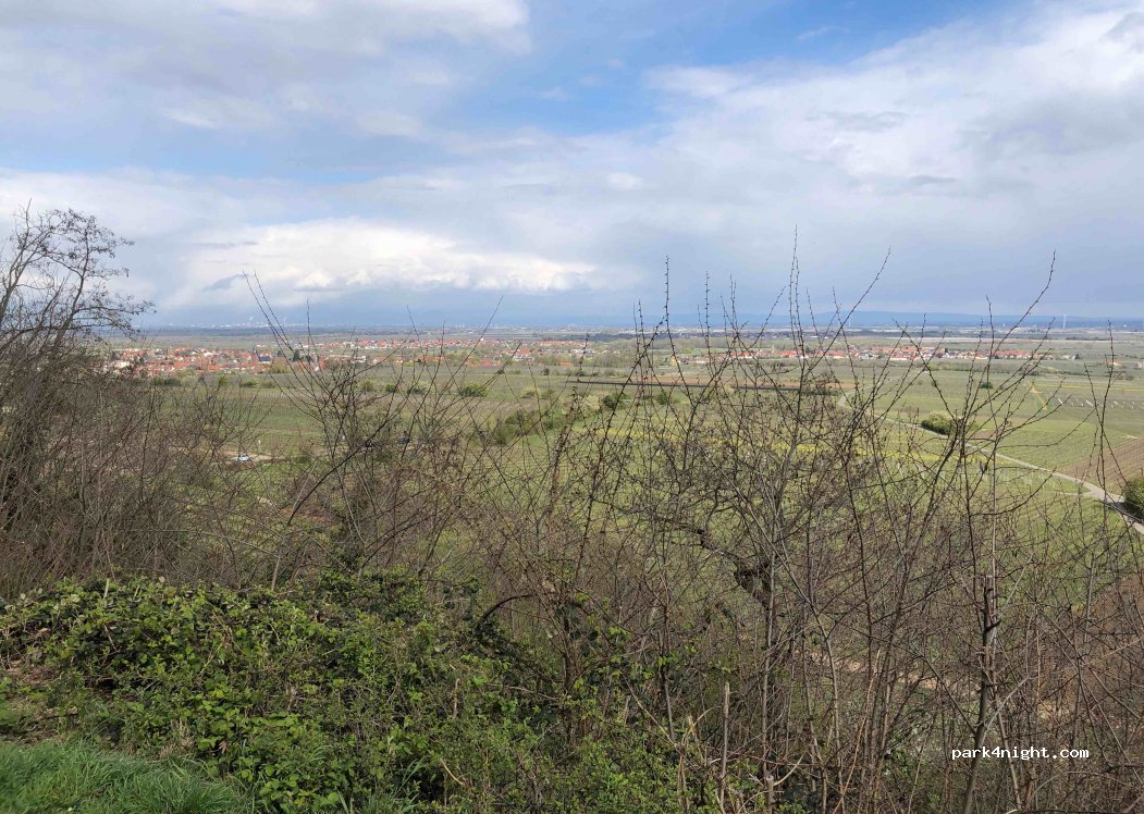 (67152) Ruppertsberg - Hausbrunnenweg — foto