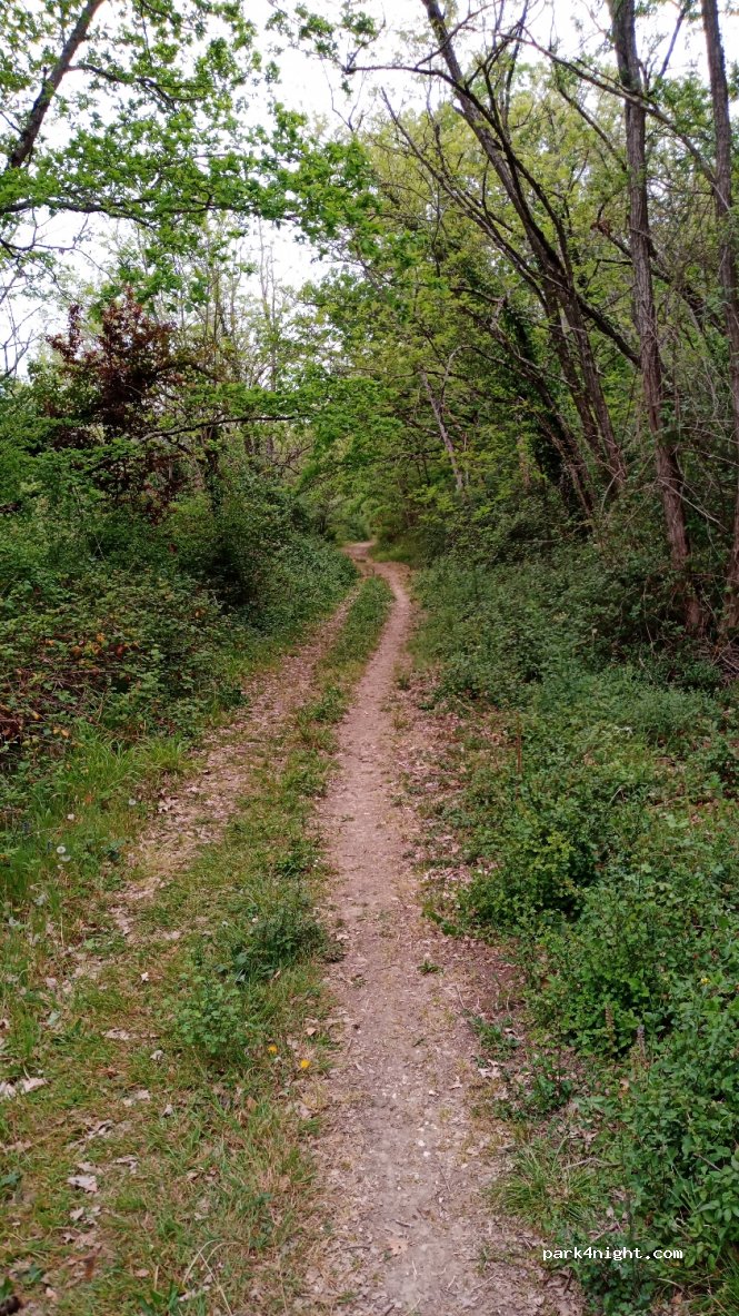 (82230) Génébrières - Unnamed Road — foto 3