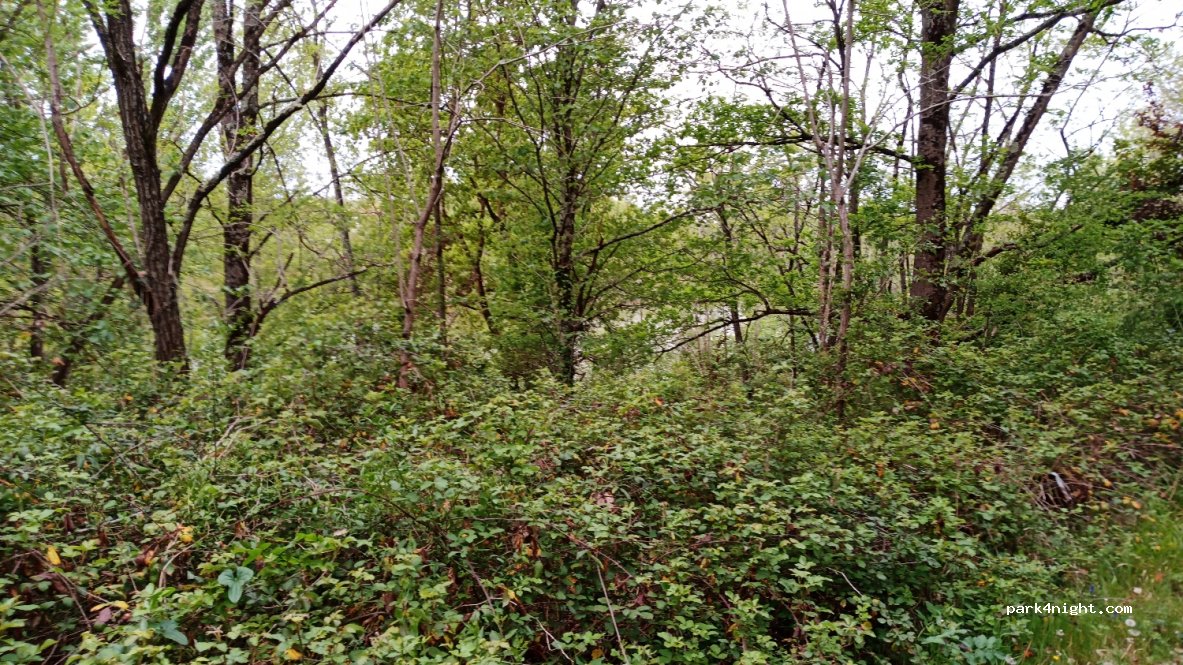 (82230) Génébrières - Unnamed Road — foto 4