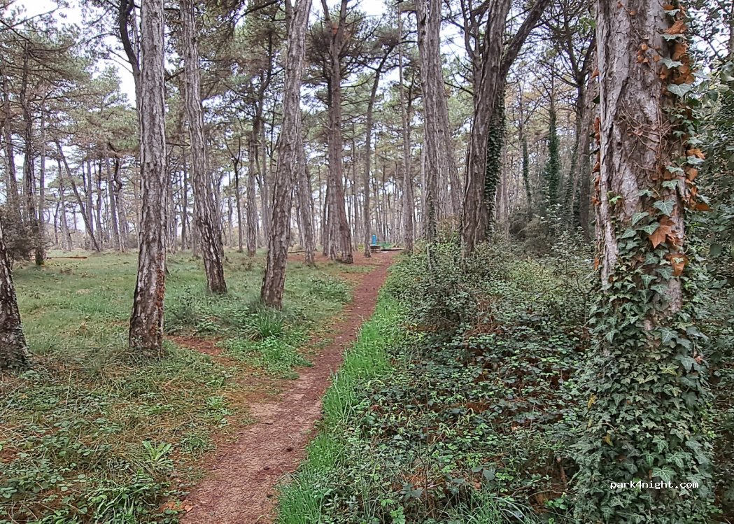 (25270) Sant Guim de Freixenet - 6 Carrer Nou — foto 4