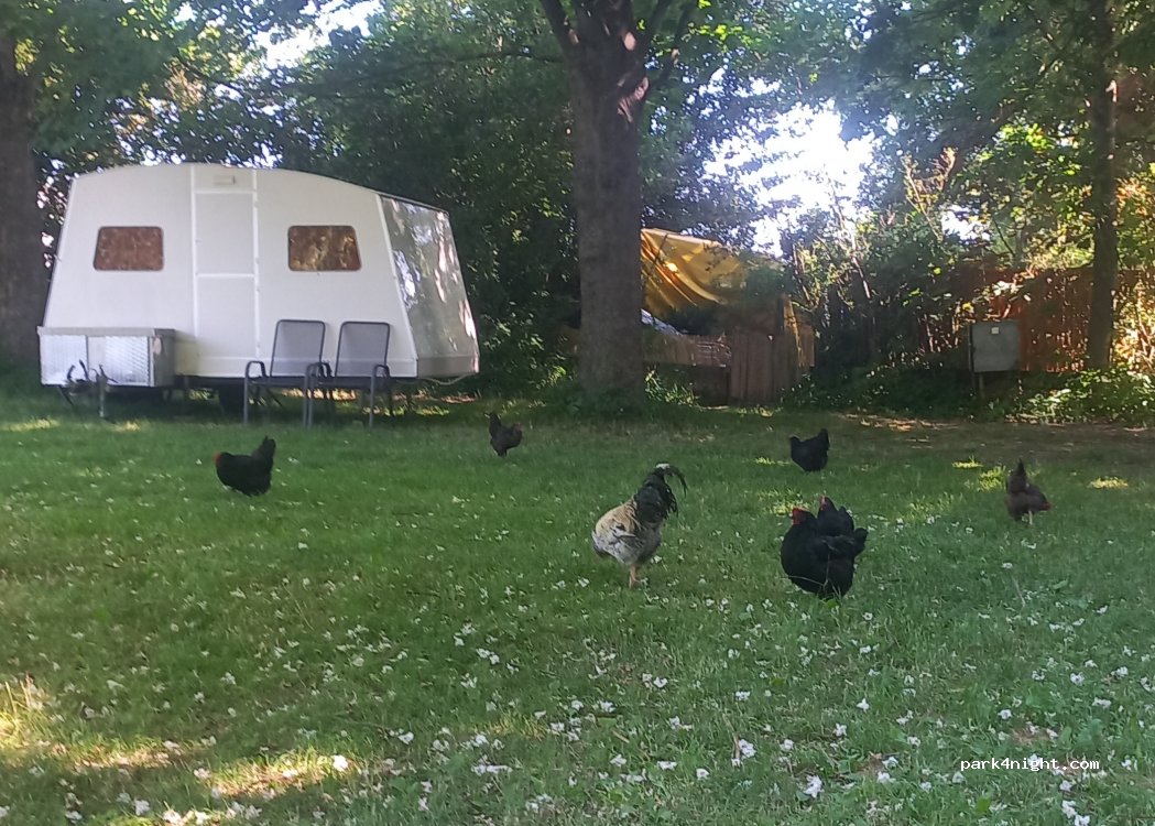 Camping Finsterhof — foto 5