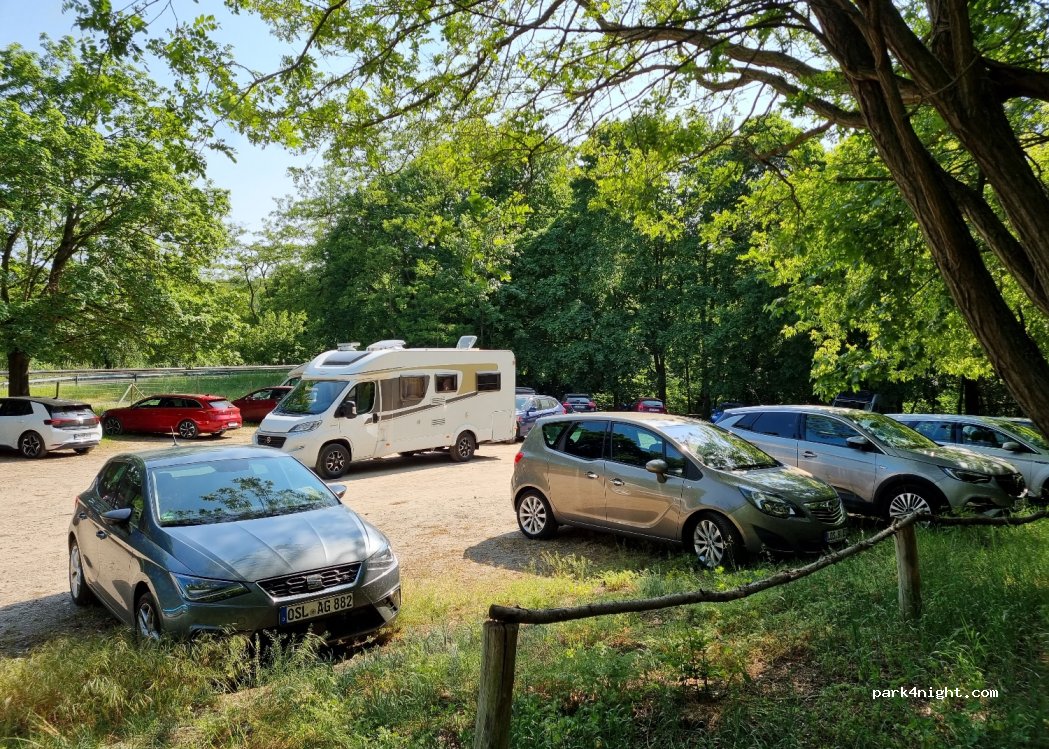 (15890) Schlaubetal - 2 Bremsdorfer Mühle — foto 2