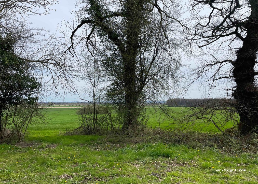 (59069) Hamm - Im Zengerott — foto 3