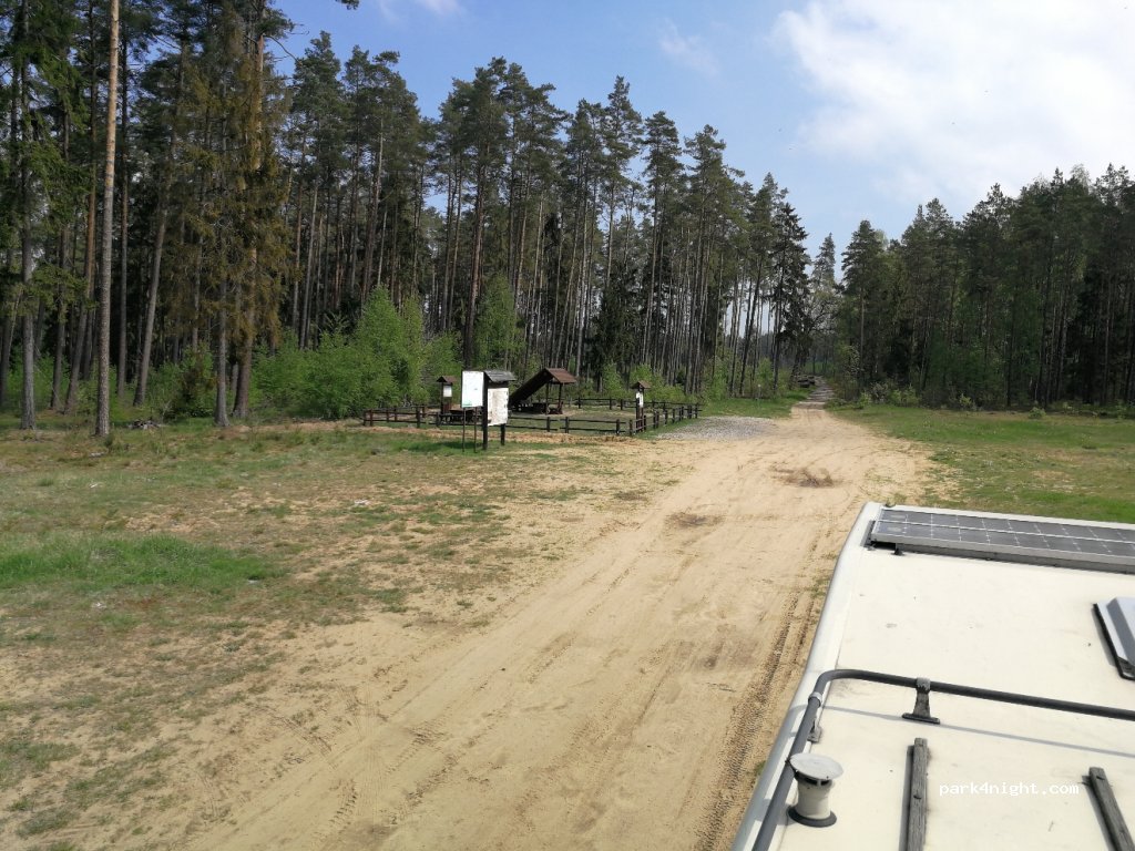 () Tratkownica - Kurhany — foto 3