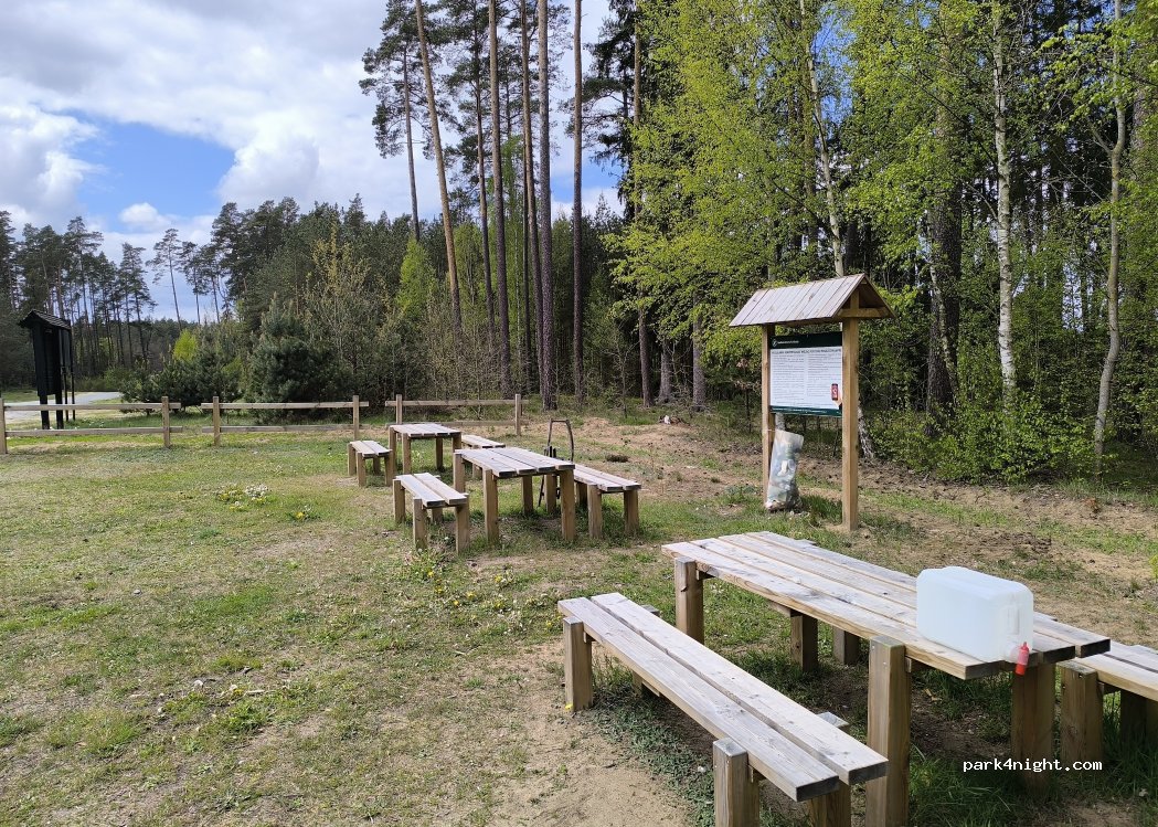 () Tratkownica - Kurhany — foto 5