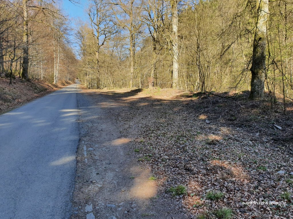 (6980) La Roche-en-Ardenne - Val du Pierreux — foto