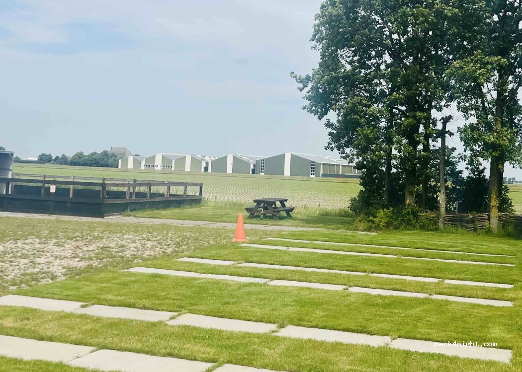Camping en Camperplaats De Rijnhoeve — foto 5