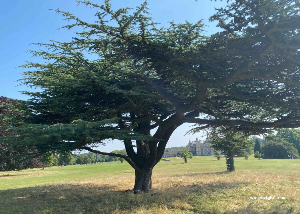(PE9 3JY) Peterborough - Unnamed Road — foto
