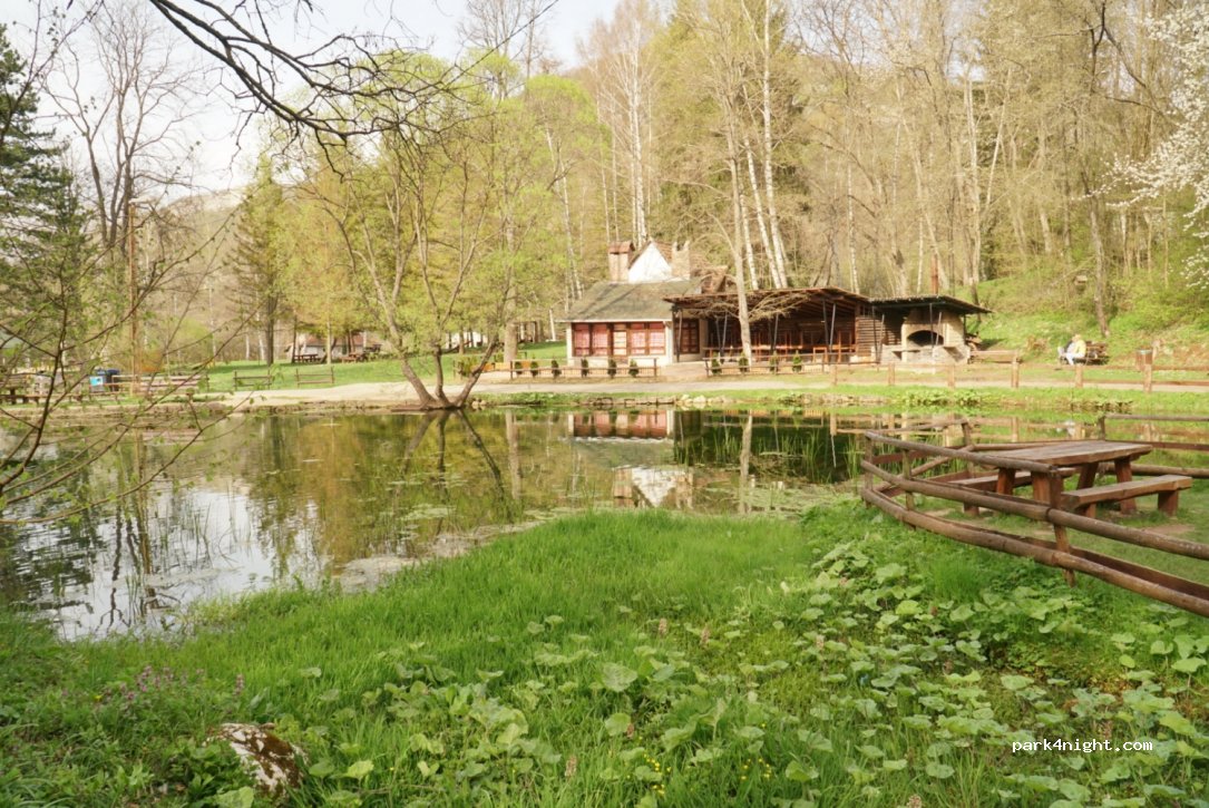 () Sokobanja - Unnamed Road — foto 2