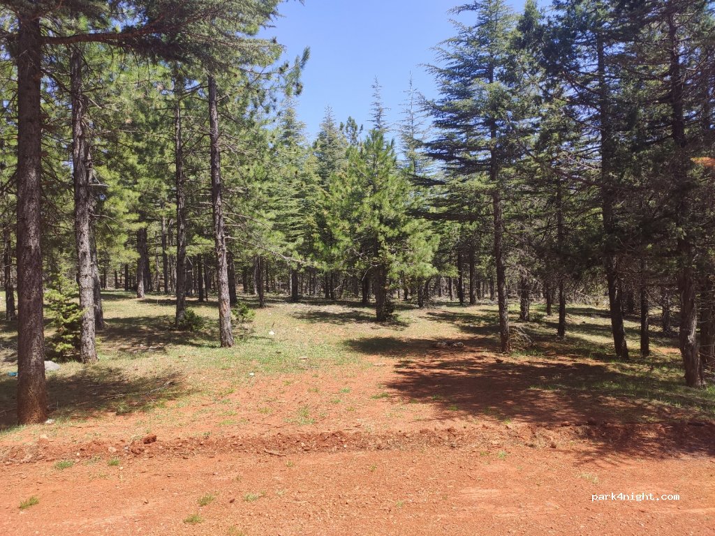 (33530)  - Adana Aksaray Yolu — foto 2