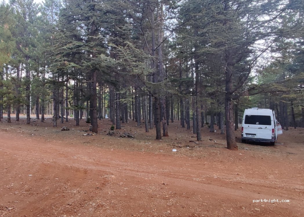 (33530)  - Adana Aksaray Yolu — foto 4