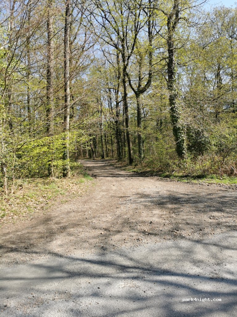 (14140) Saint-Pierre-en-Auge - Le Tilleul — foto 2