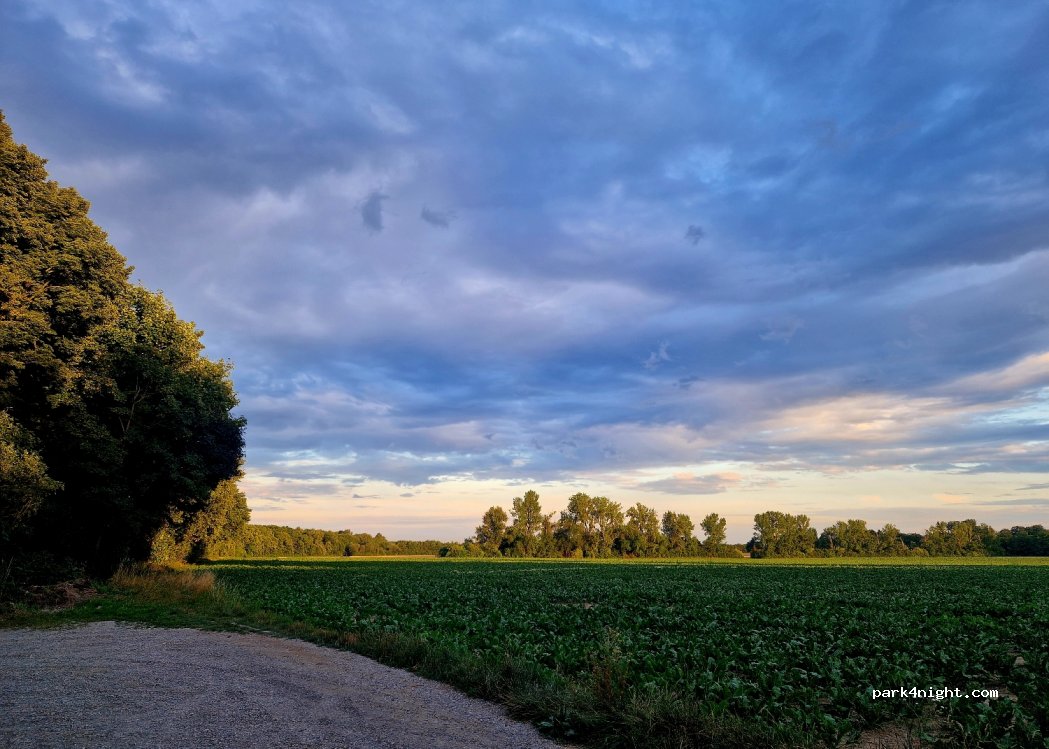 (50259) Pulheim - 55-53 Hackenbroicher Weg — foto 3