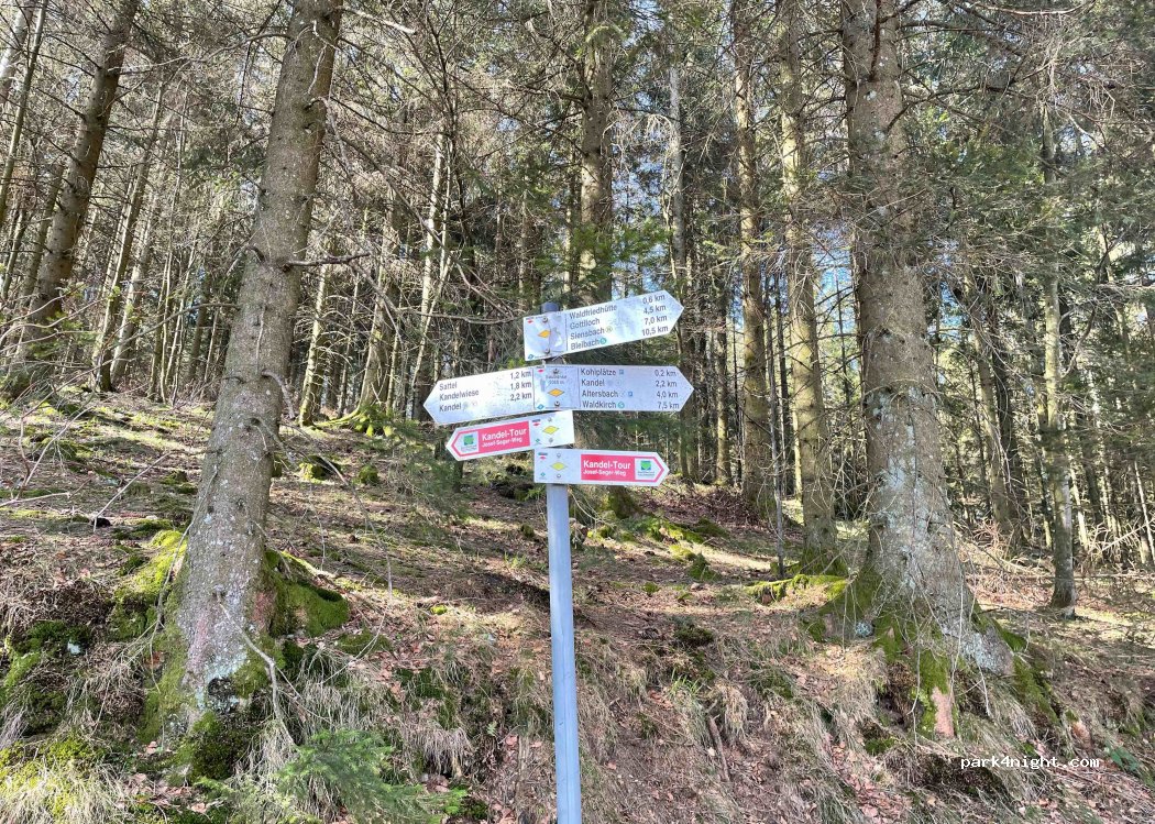 (79183) Waldkirch - L186 — foto