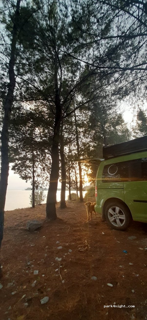 (340 05) Elimnii - Eparchiaki Odos Strofilias - Rovion — foto
