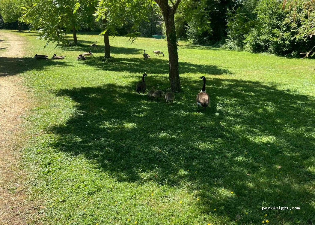 Camping ONLYCAMPS de Châlons-en-Champagne **** — foto 3