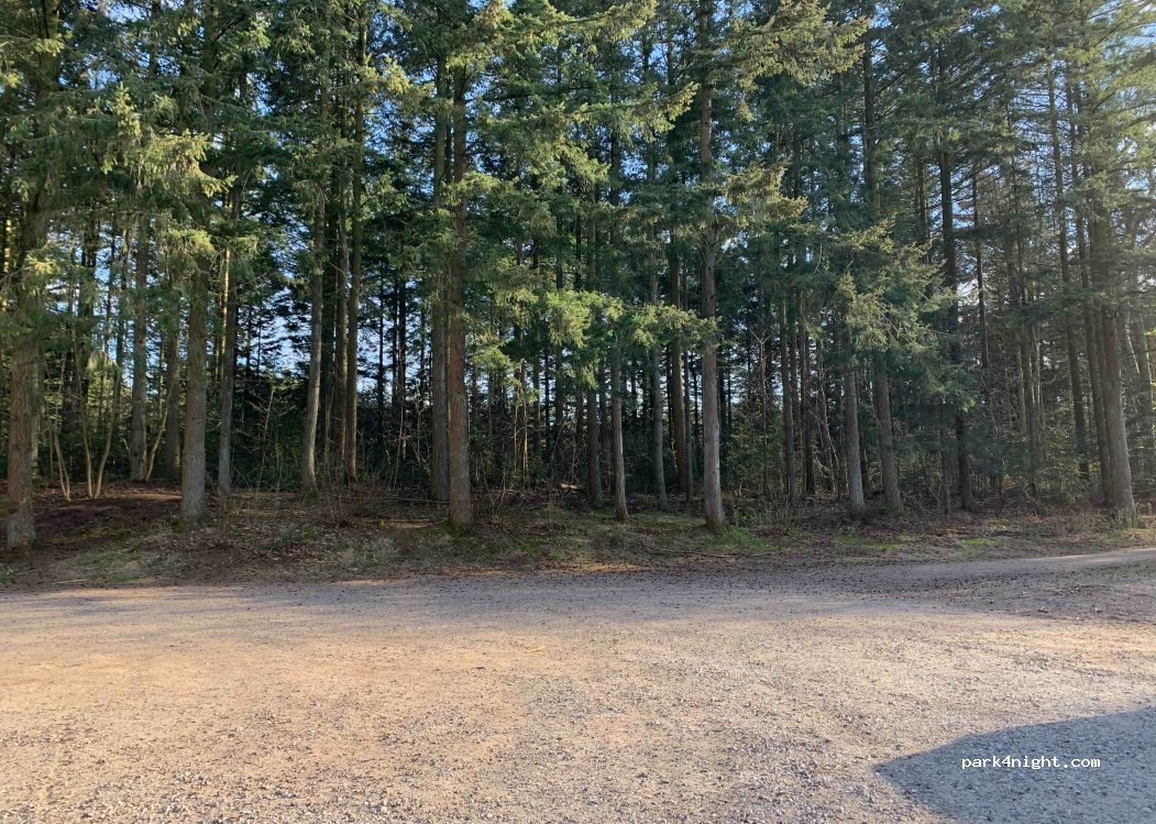 (9800) Hjørring - — foto