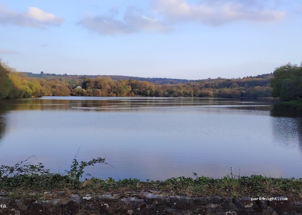 (29460) Dirinon - Étang du Roual — foto 2