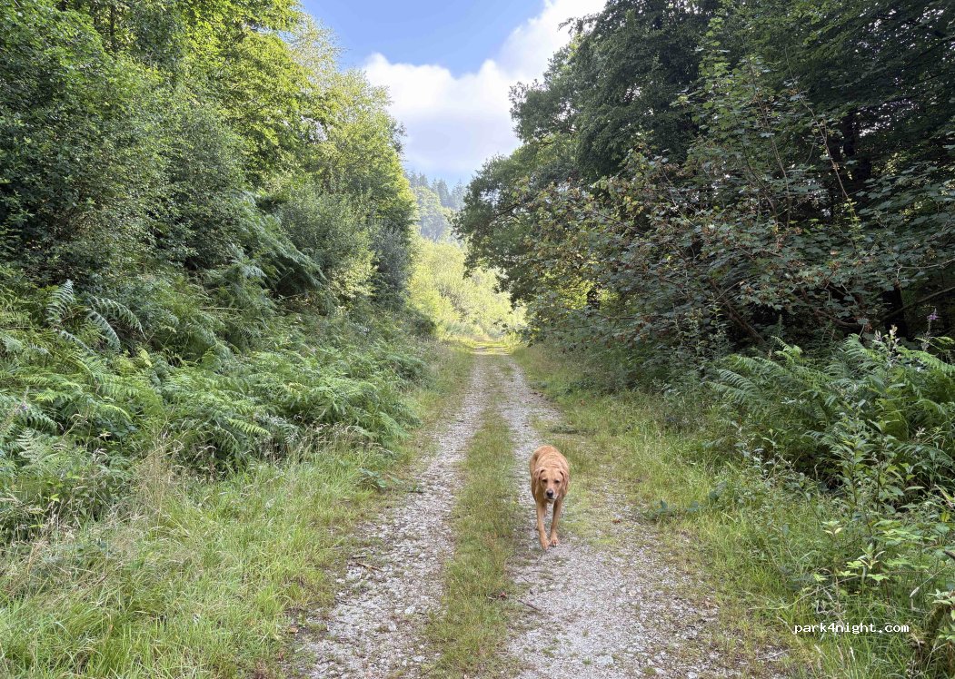 (PL30)  - Unnamed Road — foto 5