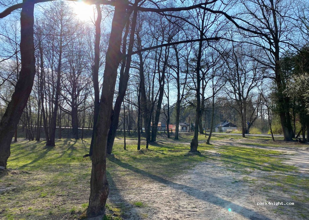 (97-215) Spała - 6 Nadpiliczna — foto