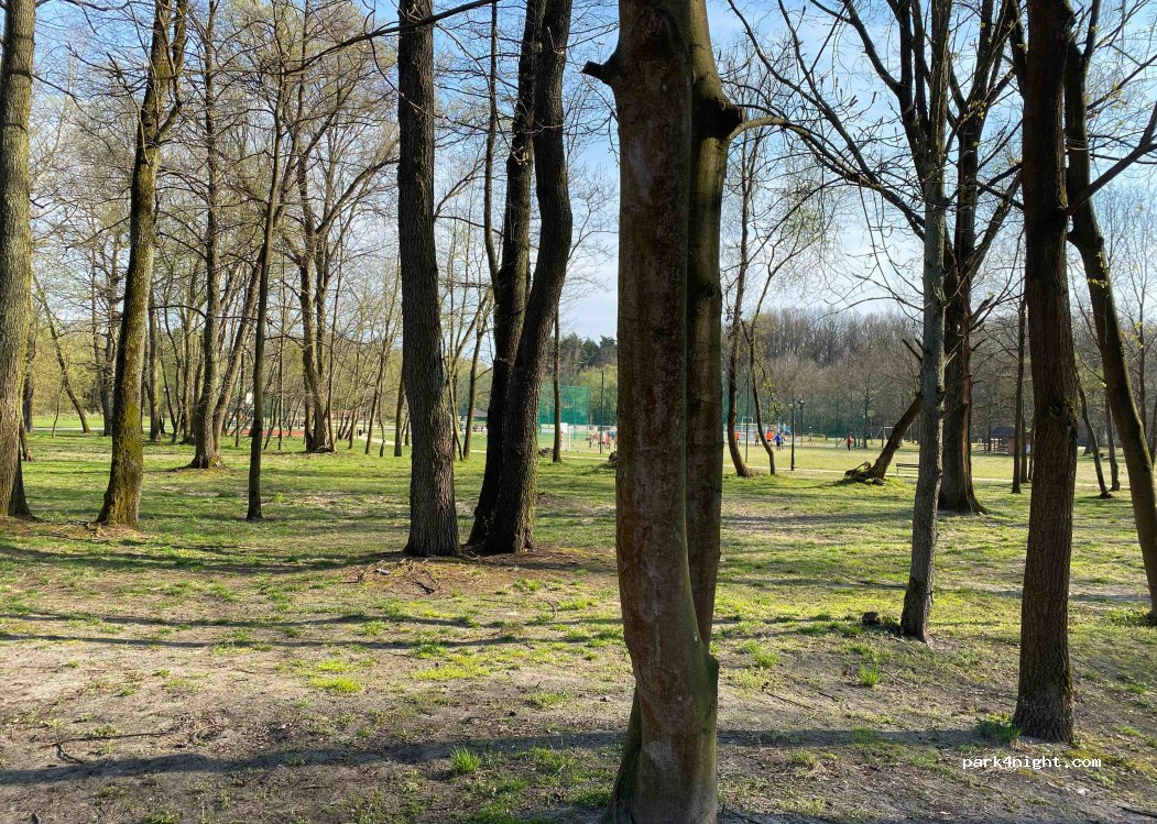 (97-215) Spała - 6 Nadpiliczna — foto 2