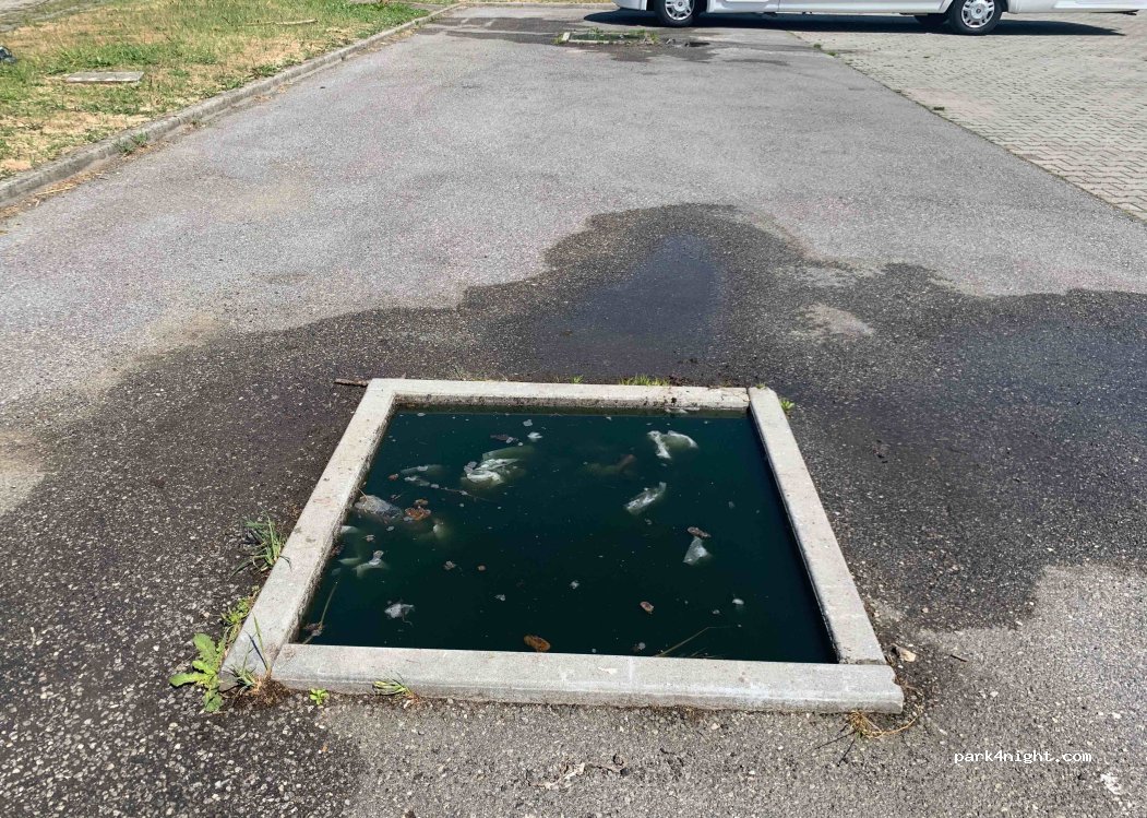 (44021) Codigoro - Strada Provinciale 54 — foto 3