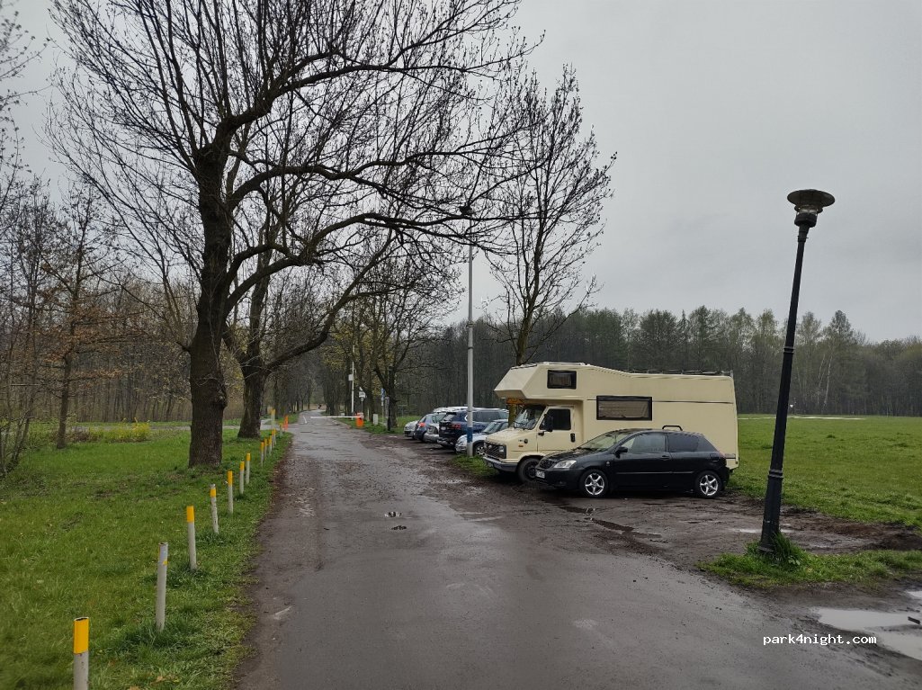 (41-503) Chorzów - aleja Klonowa — foto