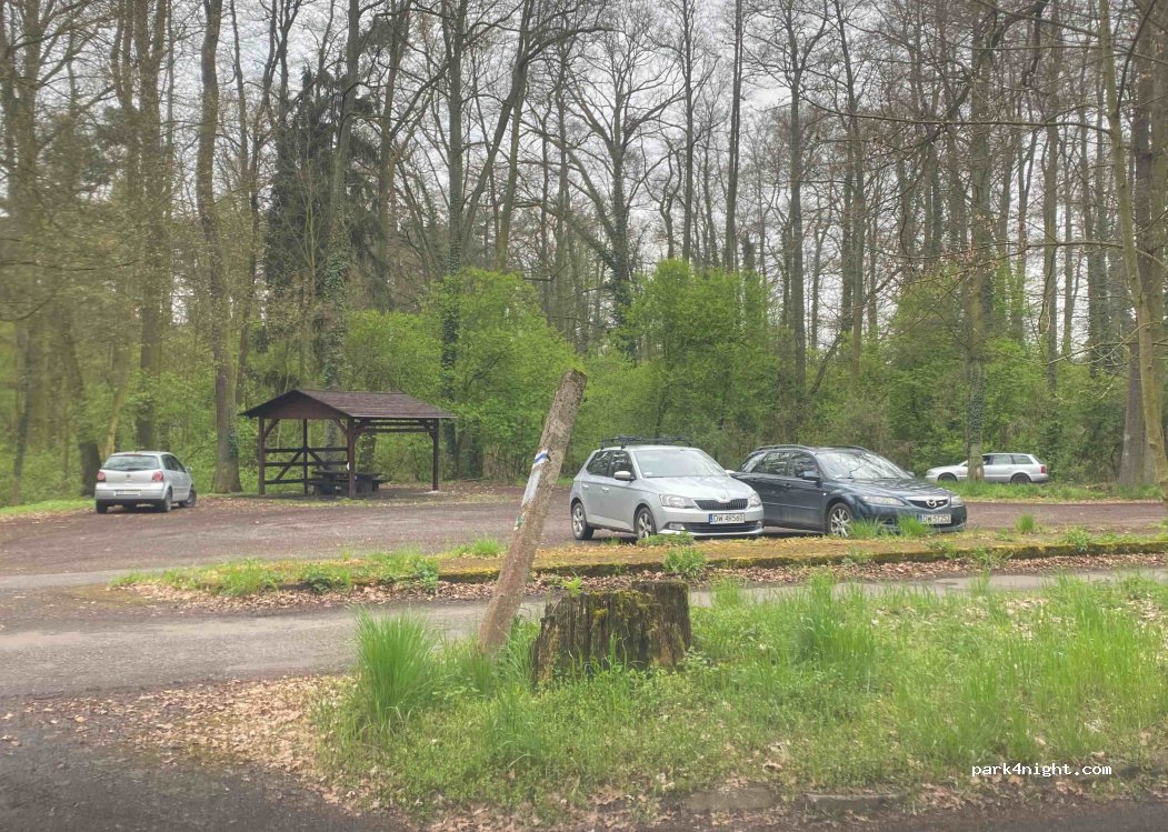 (56-300) Sułów - 4 Leśna — foto