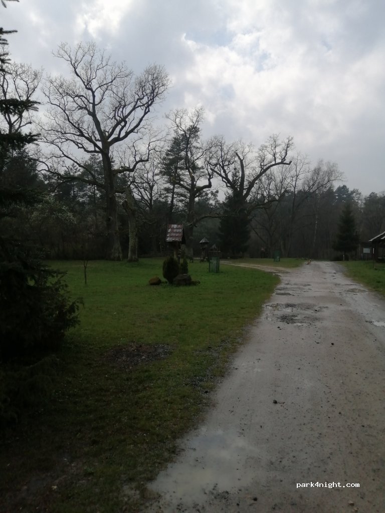 (23-460) Górecko Kościelne - — foto