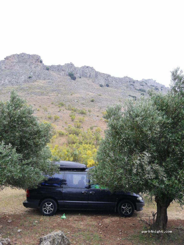 (29200) Antequera - A-7075 — foto 3