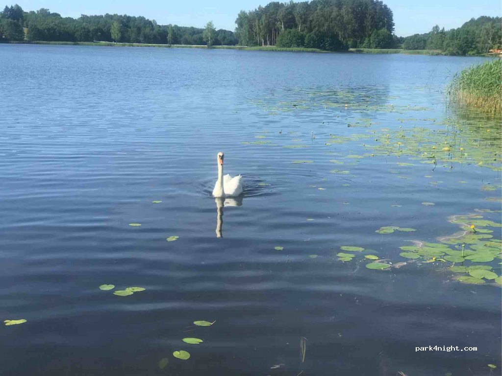 Kempings Aglonas Alpi — foto 3
