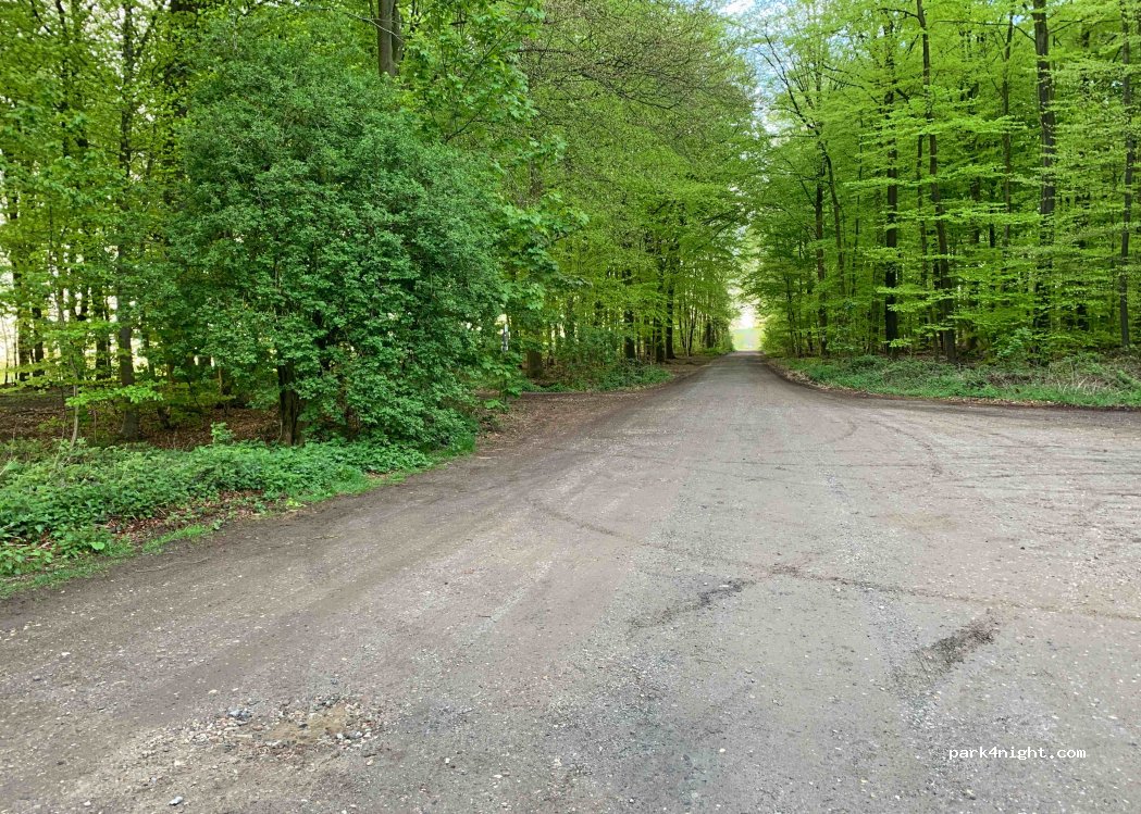 (47589) Uedem - Reichswaldstraße — foto 2