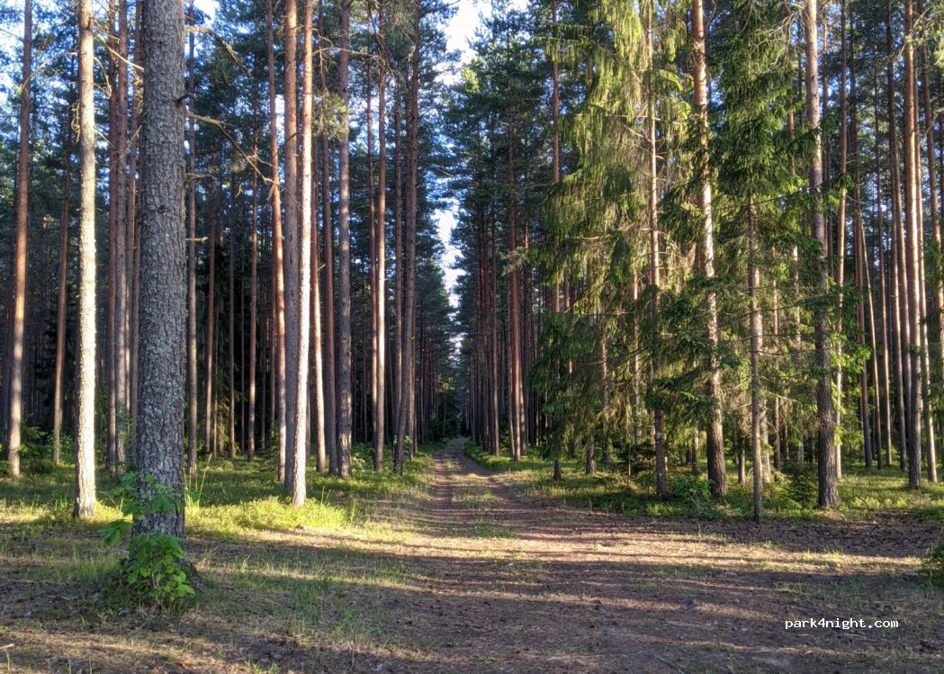 (88309) Kõima - — foto 4