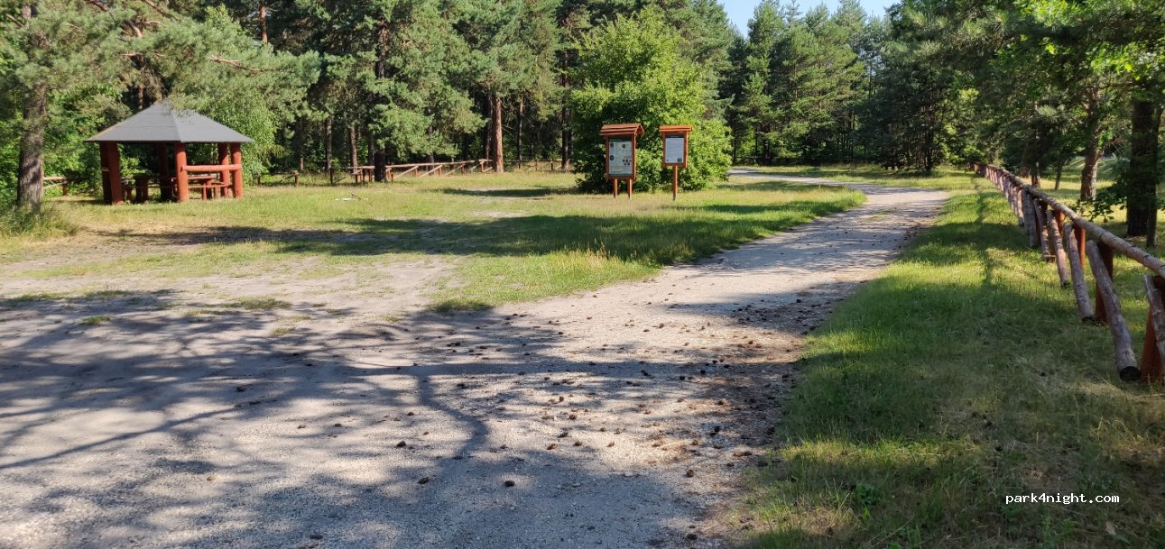 (42-253) Janów - Droga Wojewódzka 793 — foto 3