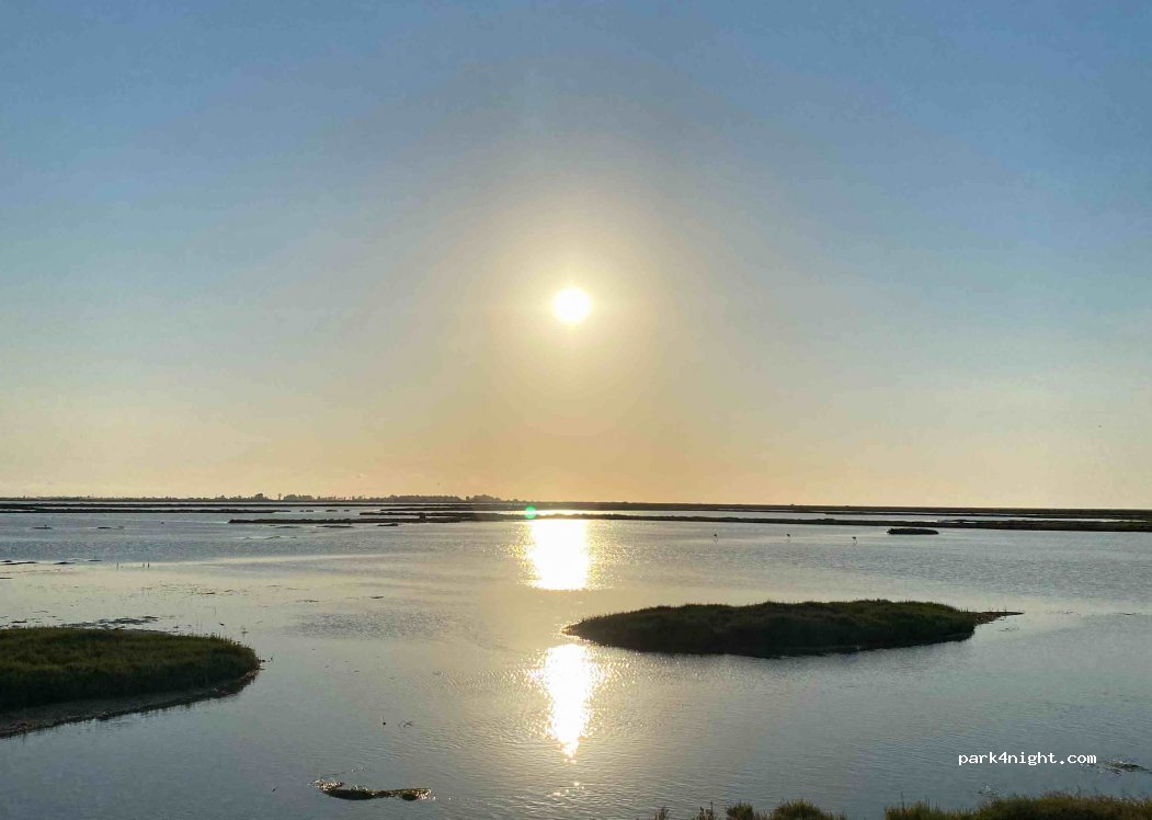 (43870) Amposta - Carretera de les Salines al Poblenou del Delta — foto 2