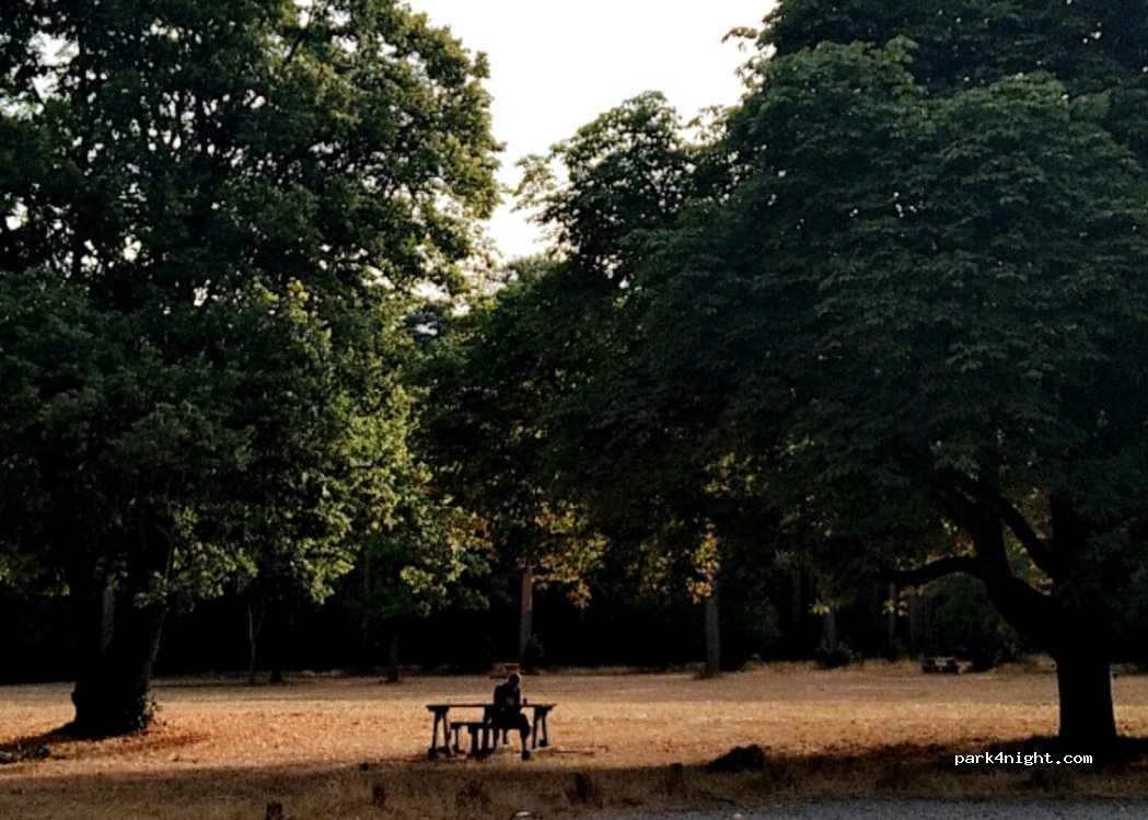 (IP26 5ET) Thetford - A134 — foto
