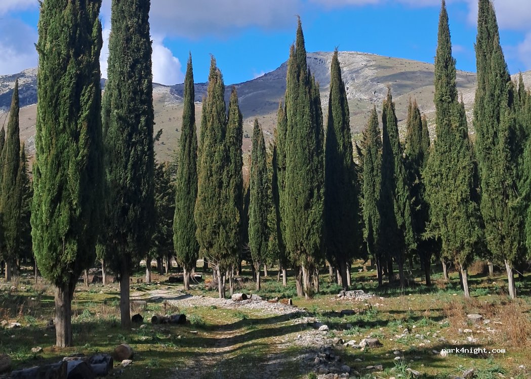 (90028) Polizzi generosa - Strada Provinciale 119 — foto 4