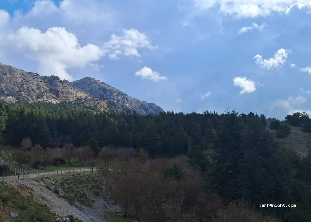(90028) Polizzi generosa - Strada Provinciale 119 — foto 5